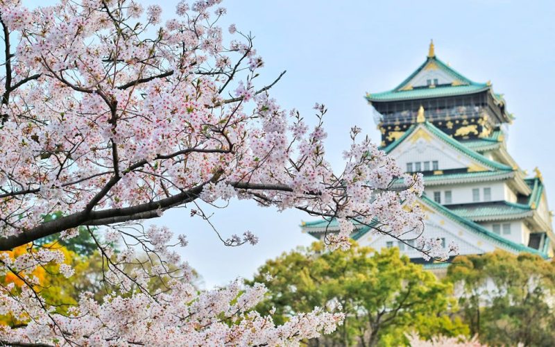 La experiencia en Asia de Aninver, líder en proyectos de cooperación internacional